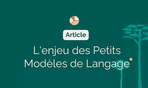 L'enjeu des Petits Modèles de Langage